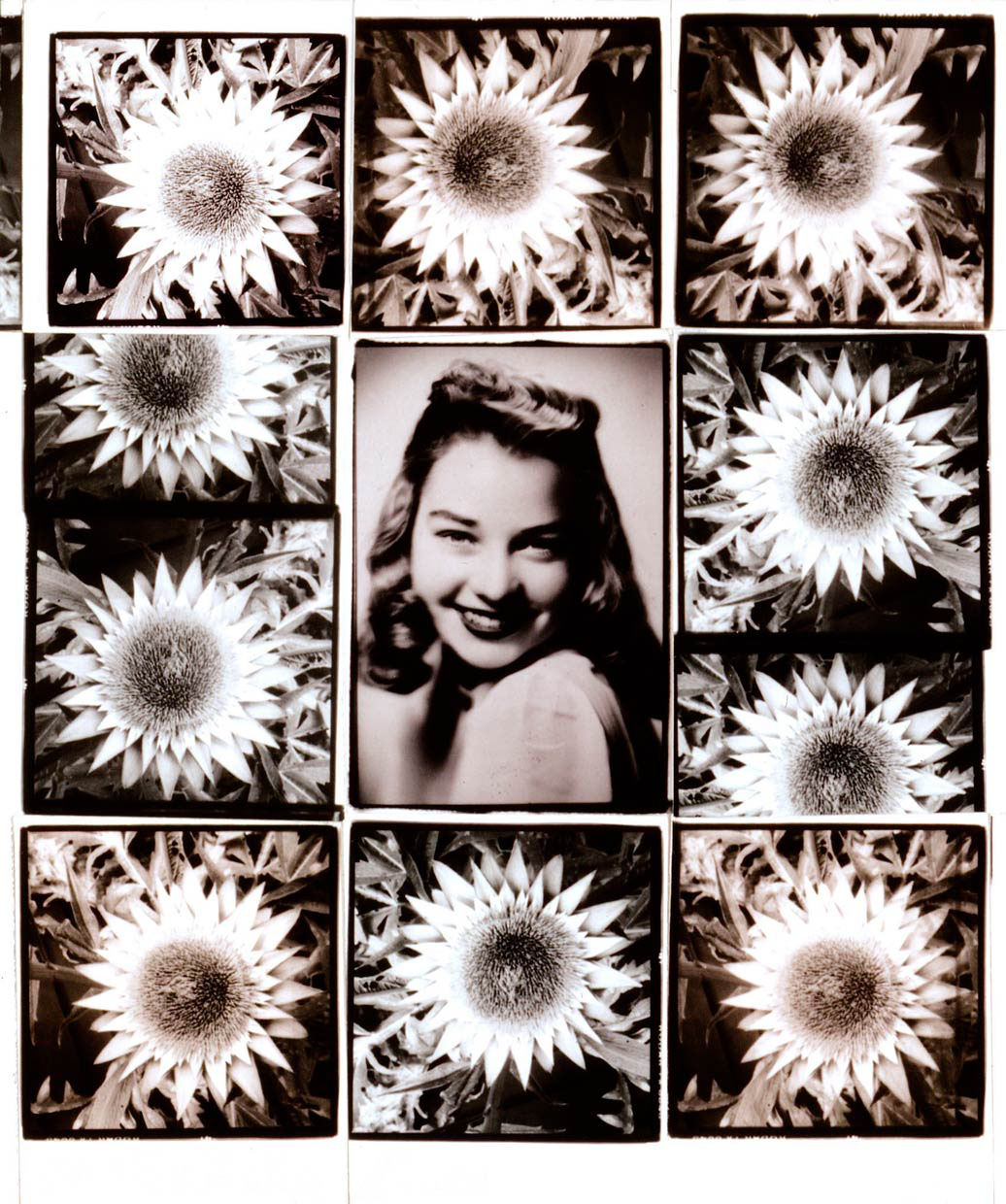Elvein - Photo Collage
