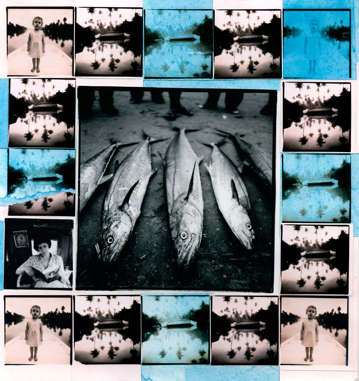 fish kerala photo collage
