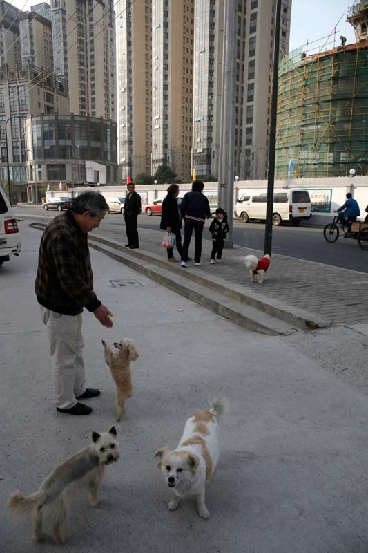 Shanghai 